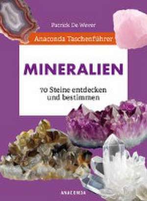 Anaconda Taschenführer Gesteine und Minerale. 70 Steine entdecken und bestimmen de Patrick De Wever