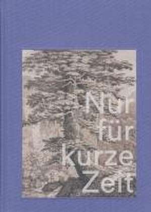 Nur für kurze Zeit de Oldenburger Kunstverein