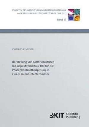 Herstellung von Gitterstrukturen mit Aspektverhältnis 100 für die Phasenkontrastbildgebung in einem Talbot-Interferometer de Johannes Kenntner