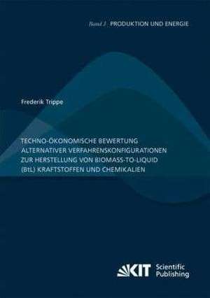 Techno-ökonomische Bewertung alternativer Verfahrenskonfigurationen zur Herstellung von Biomass-to-Liquid (BtL) Kraftstoffen und Chemikalien de Frederik Trippe