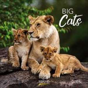 Big Cats 2025 de Verlag Korsch