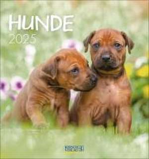 Hunde 2025 de Verlag Korsch