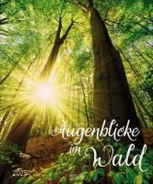 Augenblicke im Wald 2025 de Verlag Korsch