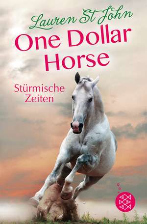 One Dollar Horse, Band 3 - Stürmische Zeiten de Lauren St. John