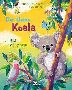 Der kleine Koala - Zu Hause im Eukalyptus de Kristina Scharmacher-Schreiber