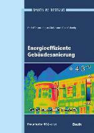 Energieeffiziente Gebäudesanierung de Frank Eßmann