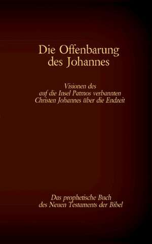 Die Offenbarung des Johannes - Das prophetische Buch des Neuen Testaments der Bibel de Antonia Katharina Tessnow