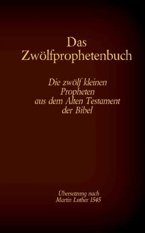 Das Zwölfprophetenbuch de Antonia Katharina Tessnow