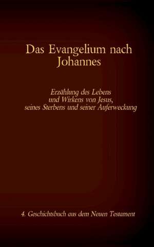 Das Evangelium nach Johannes de Antonia Katharina Tessnow