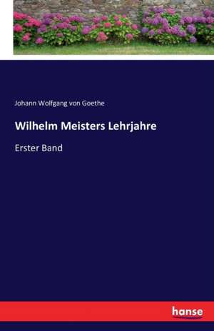 Wilhelm Meisters Lehrjahre de Johann Wolfgang von Goethe