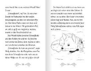 Abenteuer im Wunderwald - Der kleine Fuchs und die Fee de J. S. Betts