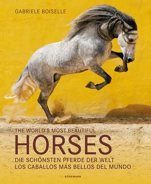 Boiselle: World's Most Beautiful Horses/schönsten Pferde