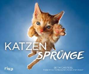 Katzensprünge de Seth Casteel