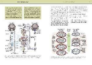 Yoga-Anatomie de Leslie Kaminoff