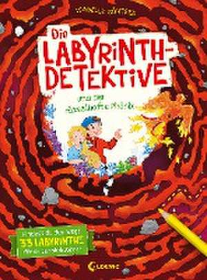 Die Labyrinth-Detektive und der rätselhafte Phönix de Isabelle Göntgen