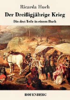 Der Dreißigjährige Krieg de Ricarda Huch