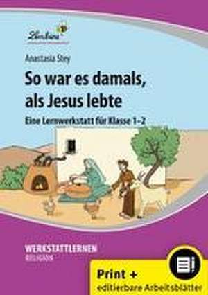 So war es damals, als Jesus lebte de Anastasia Stey