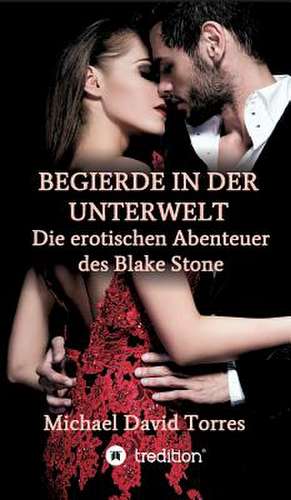 Begierde in der Unterwelt - Die erotischen Abenteuer des Blake Stone de Michael David Torres