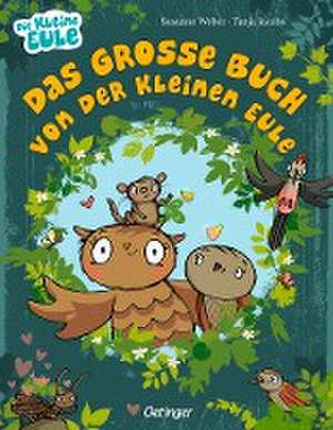 Das große Buch von der kleinen Eule de Susanne Weber