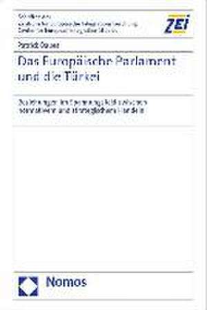 Das Europäische Parlament und die Türkei de Patrick Baues