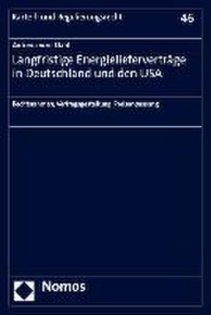 Langfristige Energielieferverträge in Deutschland und den USA de Antonia vom Dahl