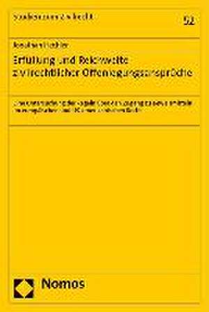 Erfüllung und Reichweite zivilrechtlicher Offenlegungsansprüche de Jonathan Hechler