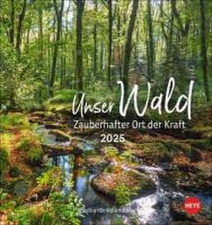 Unser Wald Postkartenkalender 2025 - zauberhafter Ort der Kraft de |Heye