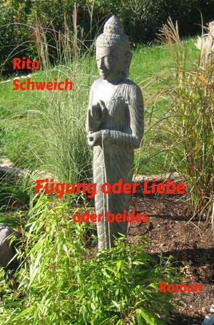 Fügung oder Liebe de Rita Schweich