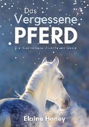 Das vergessene Pferd - Die Connemara Abenteuer-Serie de Elaine Heney