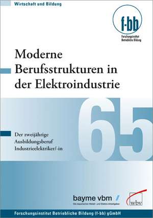 Moderne Berufsstrukturen in der Elektroindustrie de Sylvia Krenn