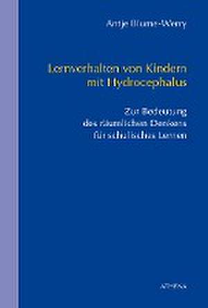 Lernverhalten von Kindern mit Hydrocephalus de Antje Blume-Werry