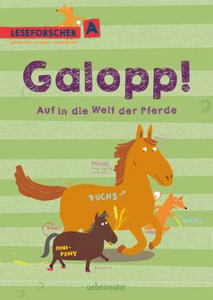 Galopp! Auf in die Welt der Pferde de Kathrin Köller