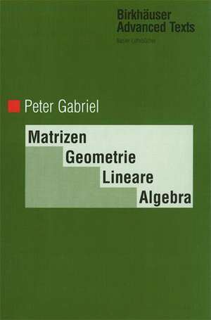 Matrizen, Geometrie, Lineare Algebra de Peter Gabriel