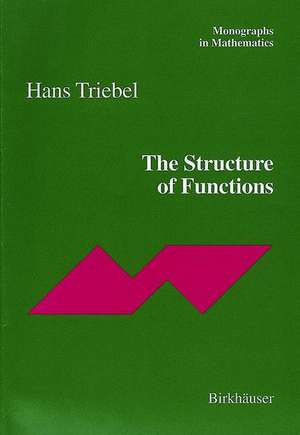 The Structure of Functions de Hans Triebel