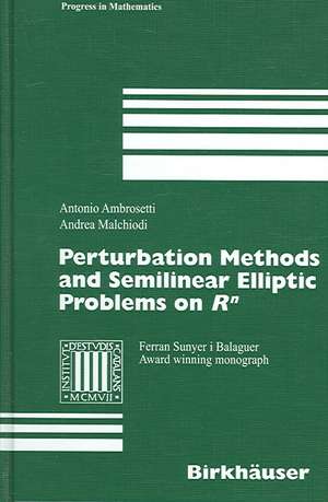 Perturbation Methods and Semilinear Elliptic Problems on R^n de Antonio Ambrosetti