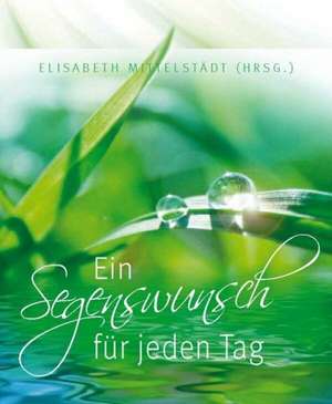 Ein Segenswunsch für jeden Tag de Elisabeth Mittelstädt