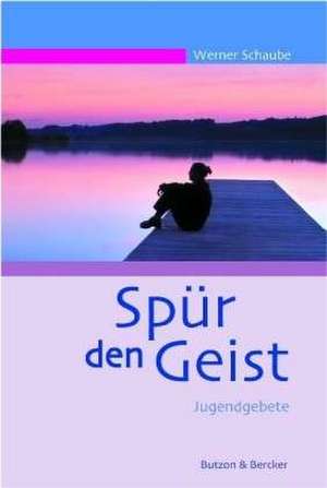 Spür den Geist de Werner Schaube