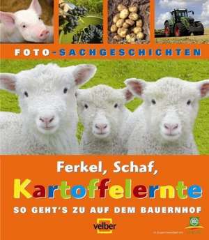 Ferkel, Schaf, Kartoffelernte de Barbara Stachuletz