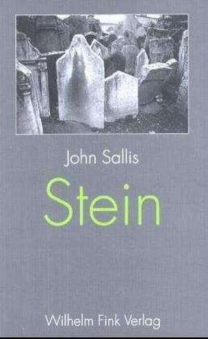 Stein de John Sallis