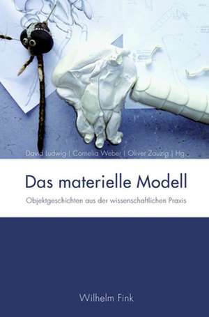 Das materielle Modell de David Ludwig