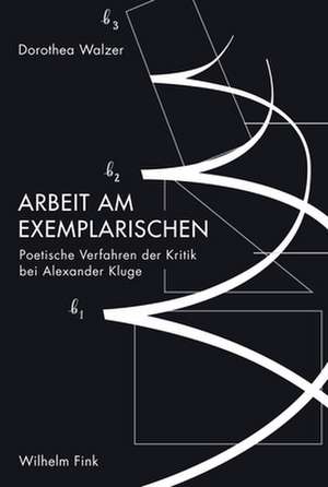 Arbeit am Exemplarischen de Dorothea Walzer