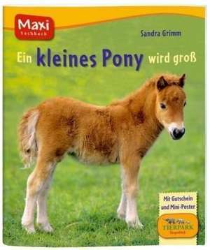 Ein kleines Pony wird groß de Sandra Grimm