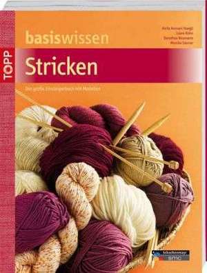 Basiswissen Stricken de Anita Avesani Haegeli