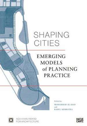 Shaping Cities de Rahul Mehrotra