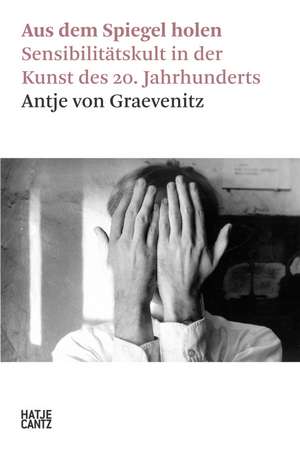 Aus dem Spiegel holen de Antje von Graevenitz