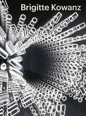 Brigitte Kowanz: Light Is What We See de Ralph Gleis