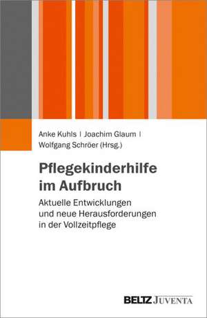 Pflegekinderhilfe im Aufbruch de Anke Kuhls