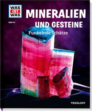 WAS IST WAS Band 45 Mineralien und Gesteine. Funkelnde Schätze de Karin Finan