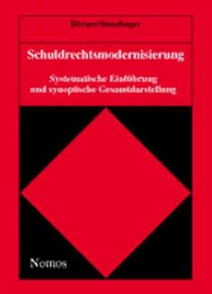 Schuldrechtsmodernisierung. Synoptische Darstellung de Heinrich Dörner