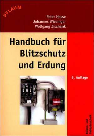 Handbuch für Blitzschutz und Erdung de Peter Hasse